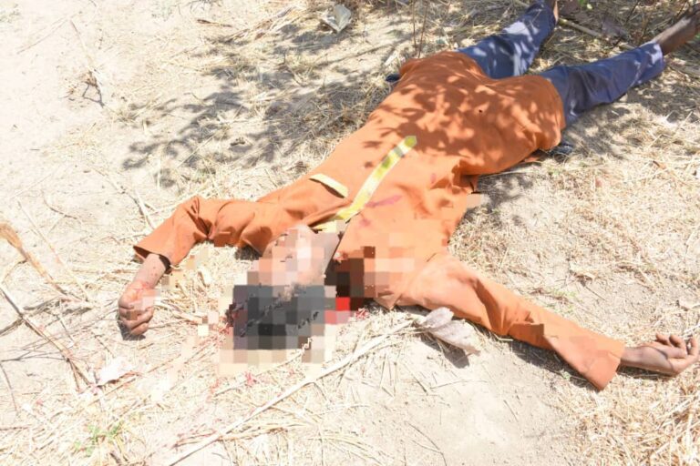 Troops Rescue Over 100 Kidnapped Victims, Kill 10 Terrorists in Katsina, Zamfara States