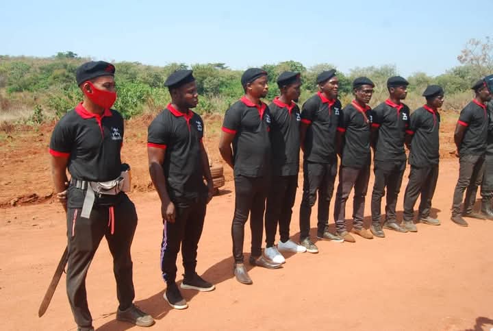INSECURITY:  Enugu LG Boss Embarks on Forest Clearing