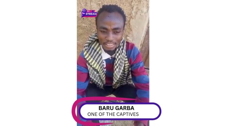 KIDNAPPING: Nigerian Military’s Efforts Facilitated the Release of Ex NYSC DG [Video]