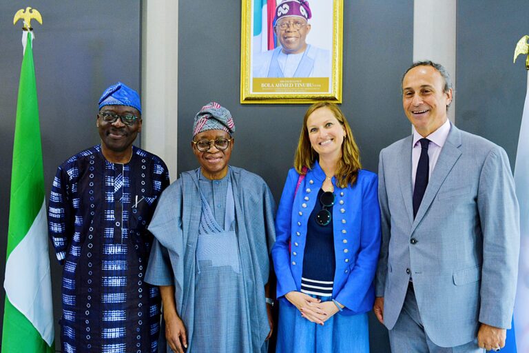 MARINE ECONOMY: Oyetola Seeks France’s Support for Nigeria’s IMO Council Bid