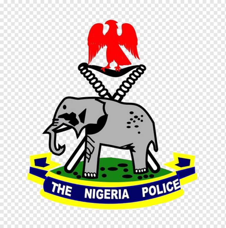 INTERNAL SECURITY: Police Operatives Rescue Over 20 Kidnapped Victims in Niger, Enugu State