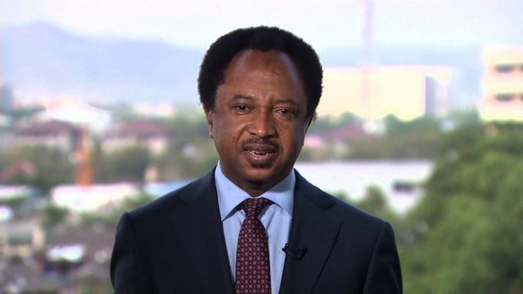 JUST IN: Shehu Sani Hails EFFC for not Selling Over700 Duplexes Seized from Emefiele to Proxies